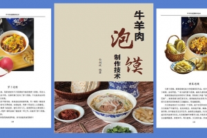 白剑波｜这本书，能解决你80%的泡馍技术问题